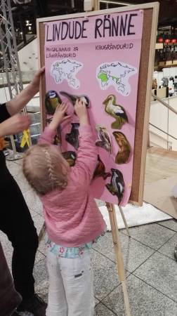 14424845_1175712872490689_7097208073539430338_o